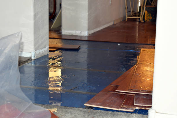 Professional Sewage Cleanup technician working in Mystic, CT